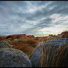 Landscape : Rhode Island through a lens
